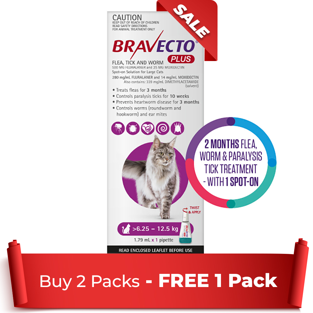 Bravecto Plus For Large Cats (6.25 – 12.5 Kg) Purple 2 Pack + 1 Free