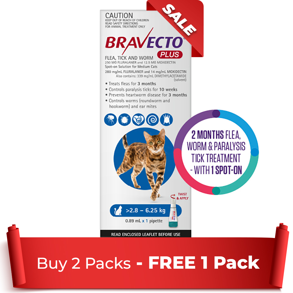 Bravecto Plus For Medium Cats (2.8 – 6.25 Kg) Blue 2 Pack + 1 Free