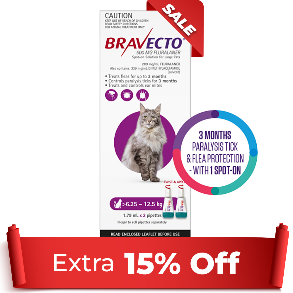 Bravecto Spot On for Large Cats (6.25 kg - 12.5 kg) Purple