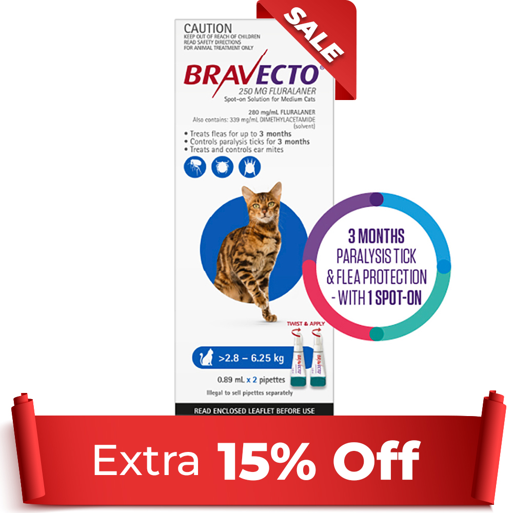Bravecto Spot On for Medium Cats (2.8 - 6.25 kg) Blue