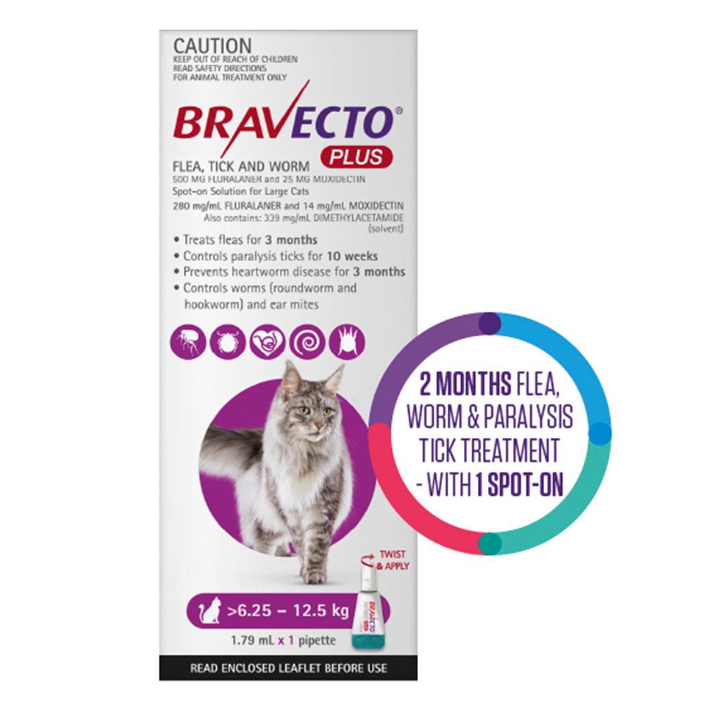 Bravecto Plus for Large Cats (6.25 – 12.5 kg) Purple