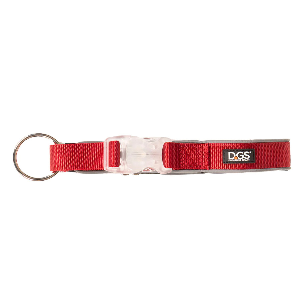 DGS Comet LED Safety Collar (Red) Medium - 2cm X 41 - 51cm