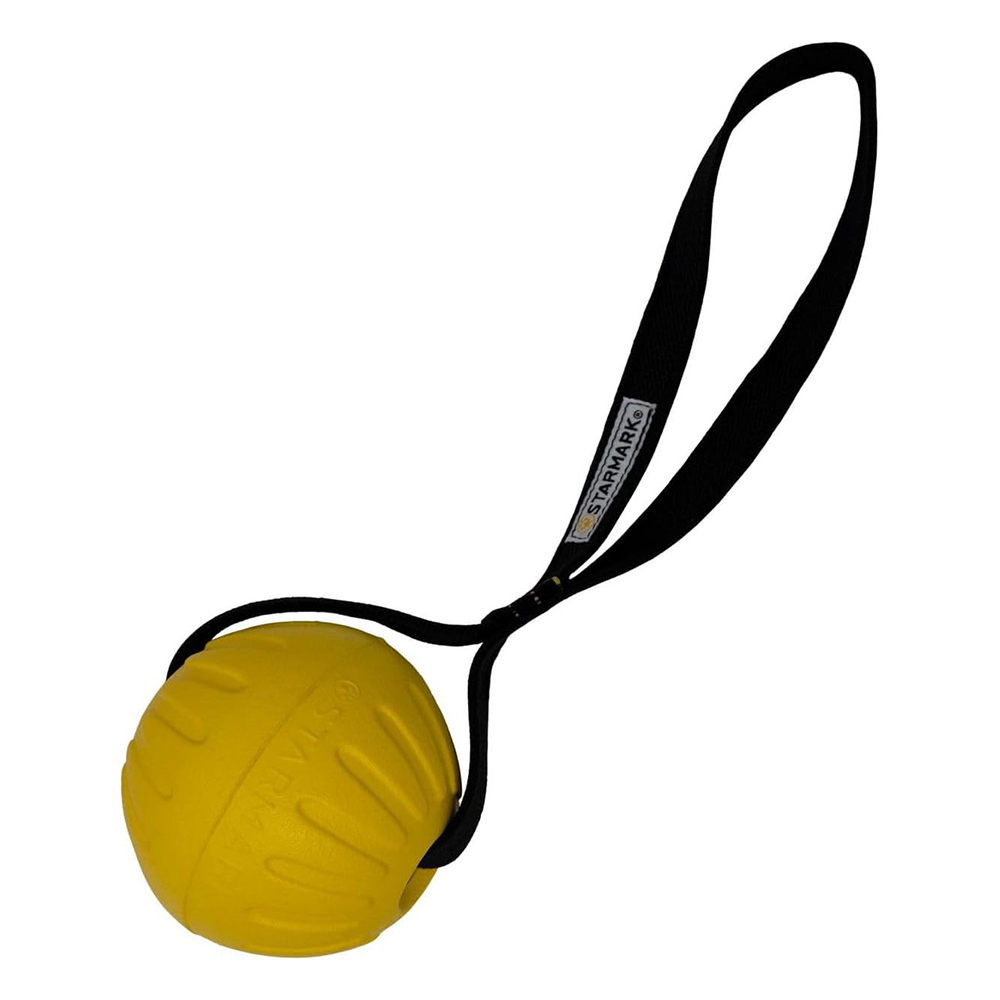 Starmark GripCord DuraFoam Ball with Loop Toys for Dogs for Dogs