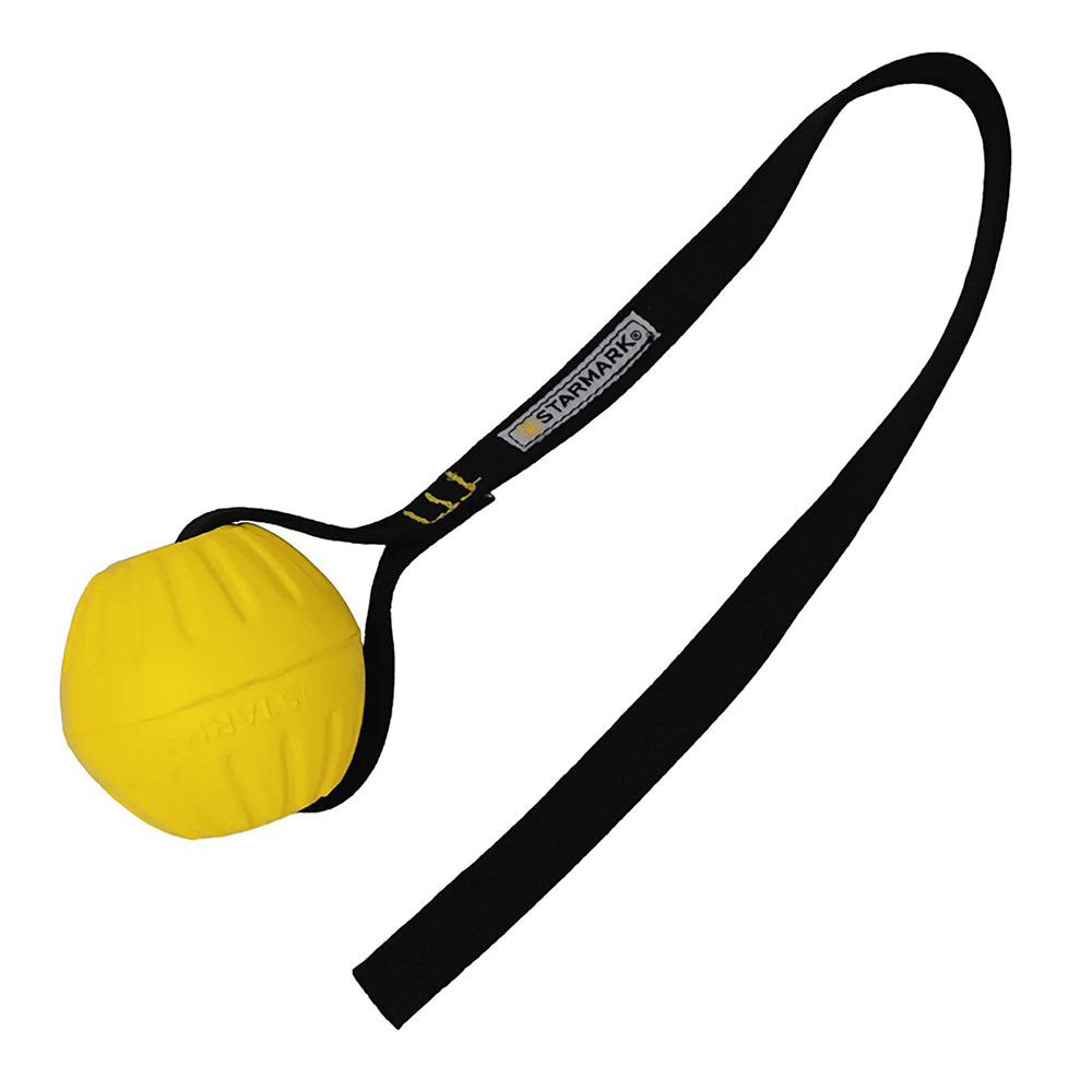 Starmark GripCord DuraFoam Ball with Cord Toys for Dogs for Dogs