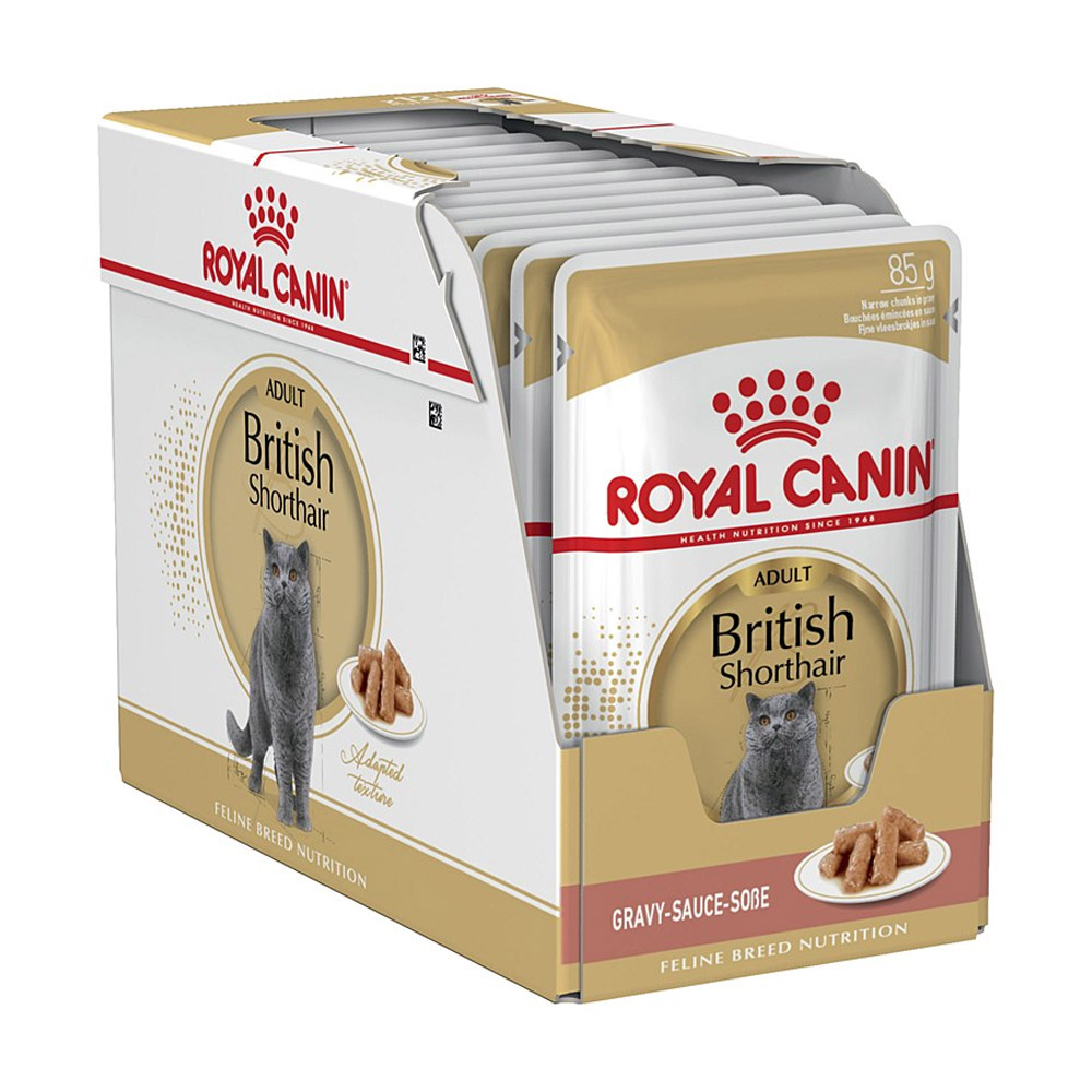 Royal Canin British Shorthair In Gravy Adult Over 12 Months Pouches Wet Cat Food for Food