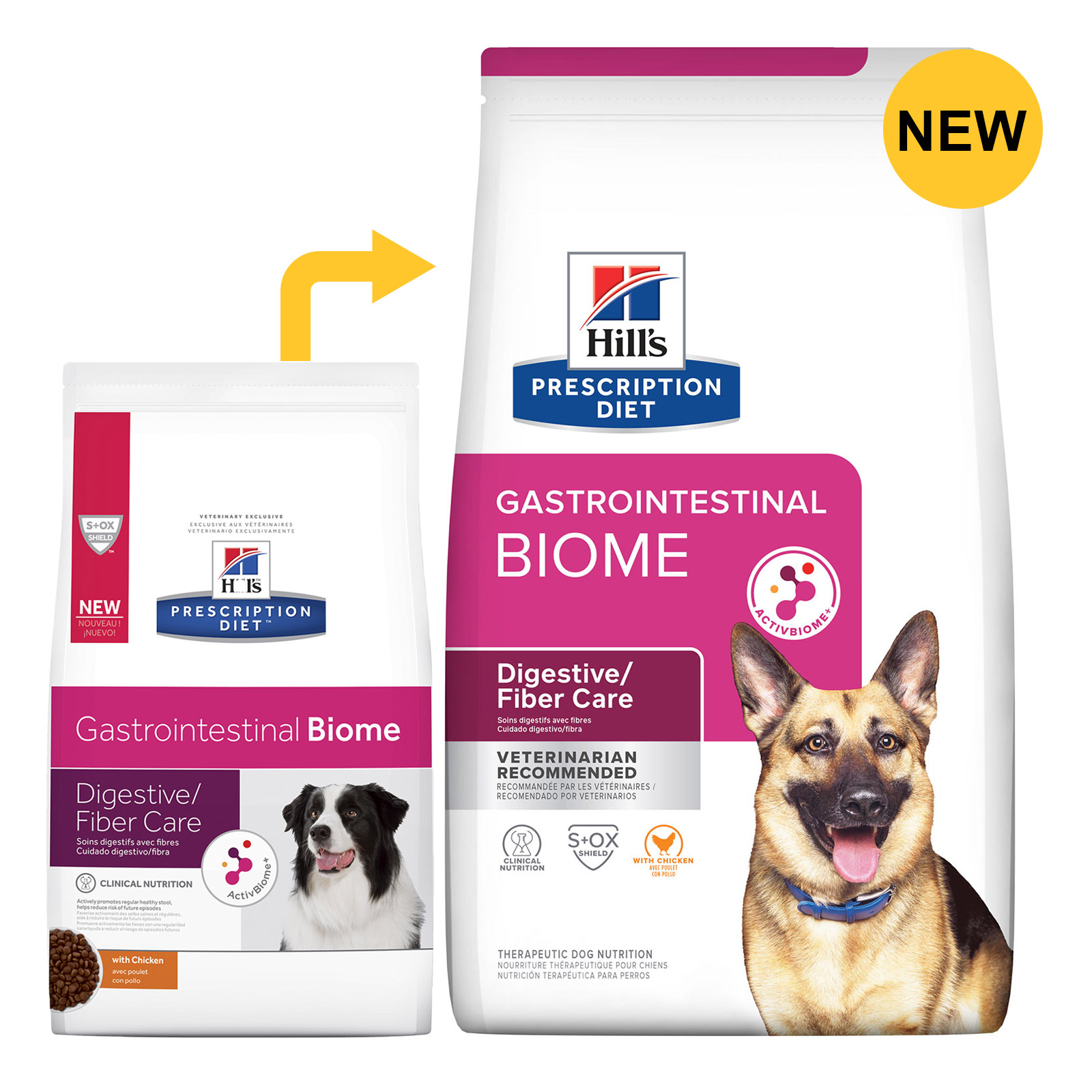 Hill's Prescription Diet Gastrointestinal Biome Digestive Fibre Care with Chicken Dry Dog Food for Food