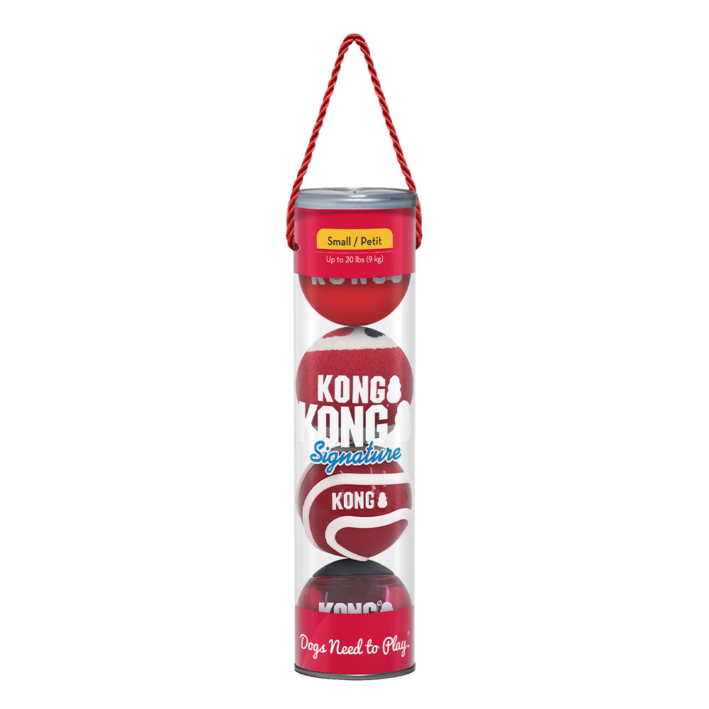 KONG Signature Fetching Toy for Dogs - Assorted Balls