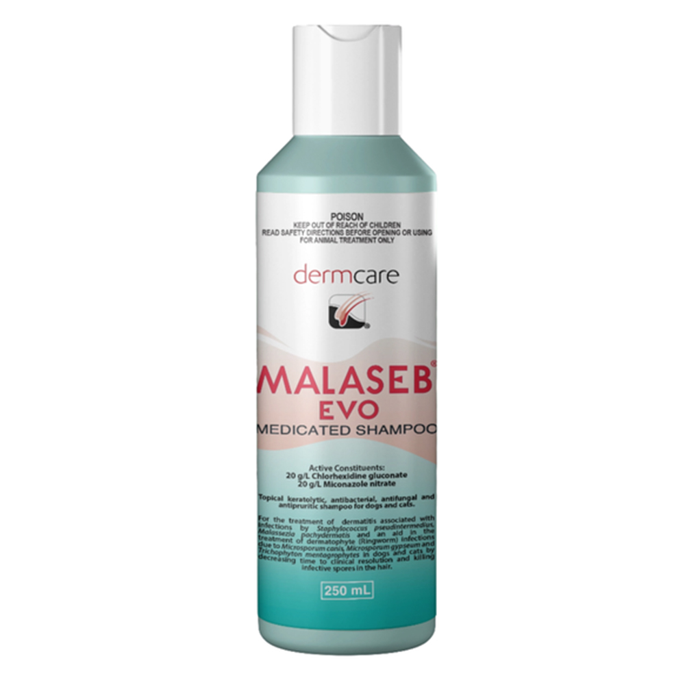 Dermcare Malaseb Evo Medicated Shampoo for Dogs and Cats for Dogs Supplies