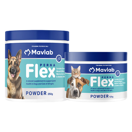PernaFlex Powder for Dogs