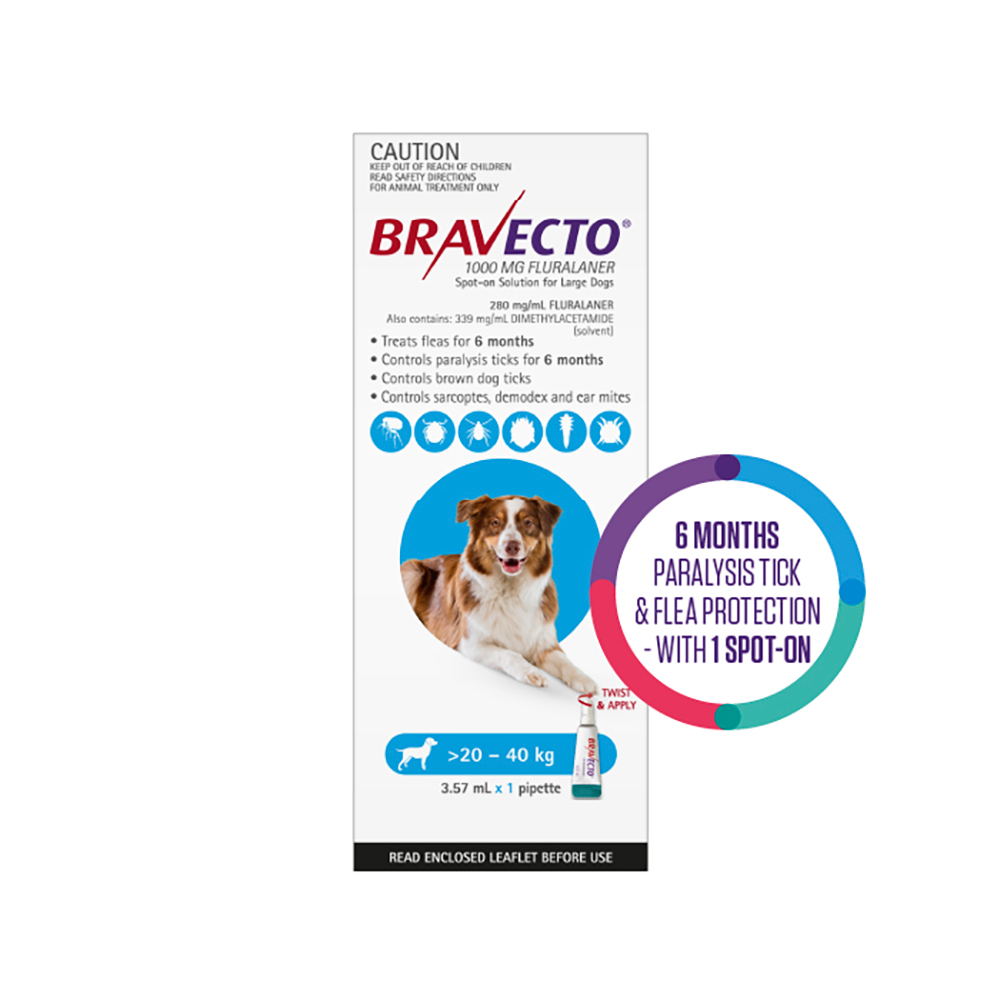 Bravecto Spot On for Large Dogs Aqua (20 - 40 kg)
