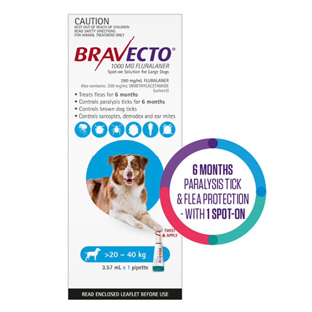 Bravecto Spot On for Large Dogs Aqua (20 - 40 kg)