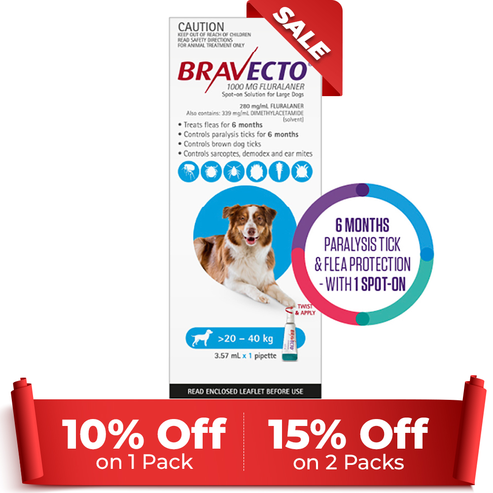 Bravecto Spot On for Large Dogs Aqua (20 - 40 kg)