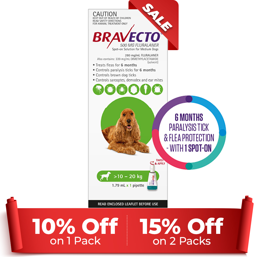 Bravecto Spot On for Medium Dogs Green (10 - 20 kg)