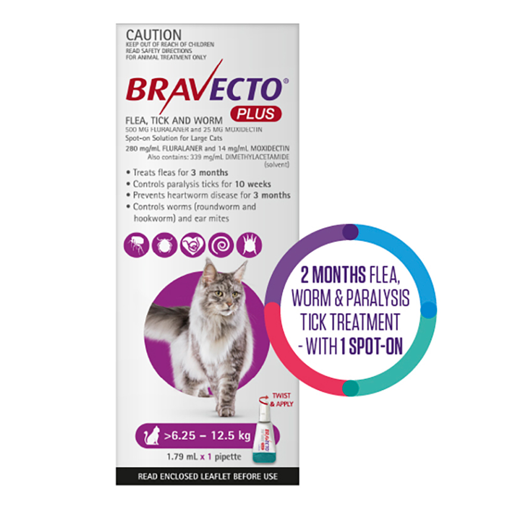 Bravecto Plus for Large Cats (6.25 – 12.5 kg) Purple
