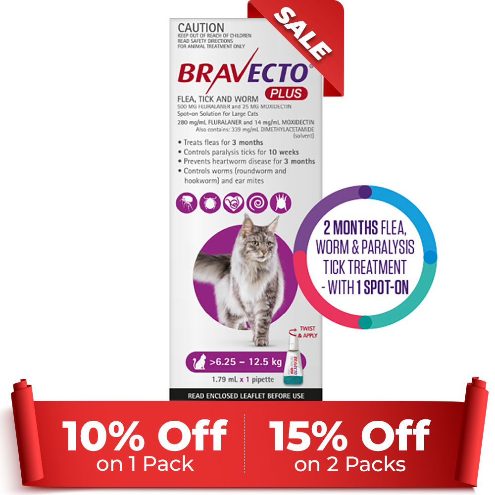 Bravecto Plus for Large Cats (6.25 – 12.5 kg) Purple