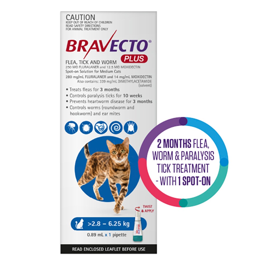 Bravecto Plus for Medium Cats (2.8 – 6.25 kg) Blue