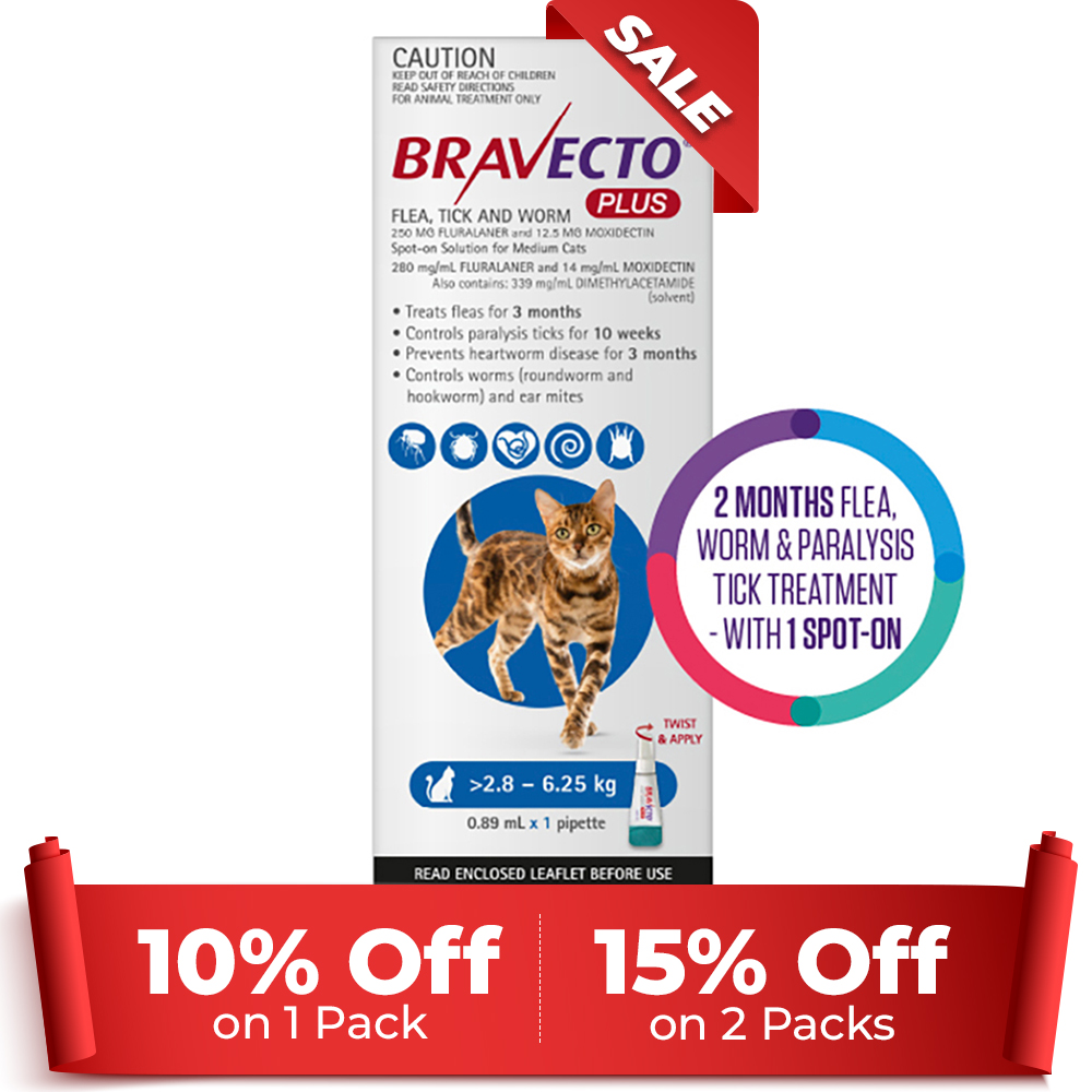 Bravecto Plus for Medium Cats (2.8 – 6.25 kg) Blue