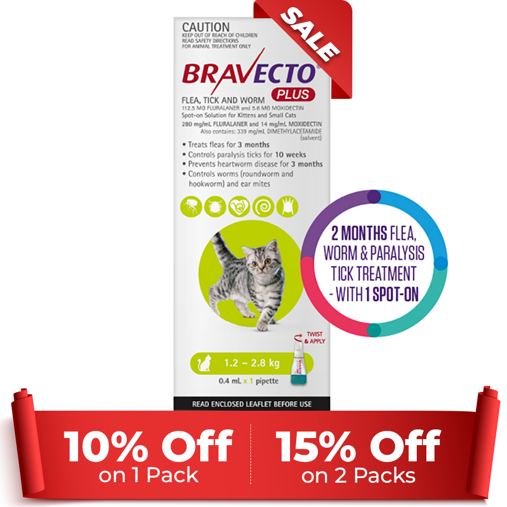 Bravecto Plus for Small Cats (1.2 – 2.8 kg) Green