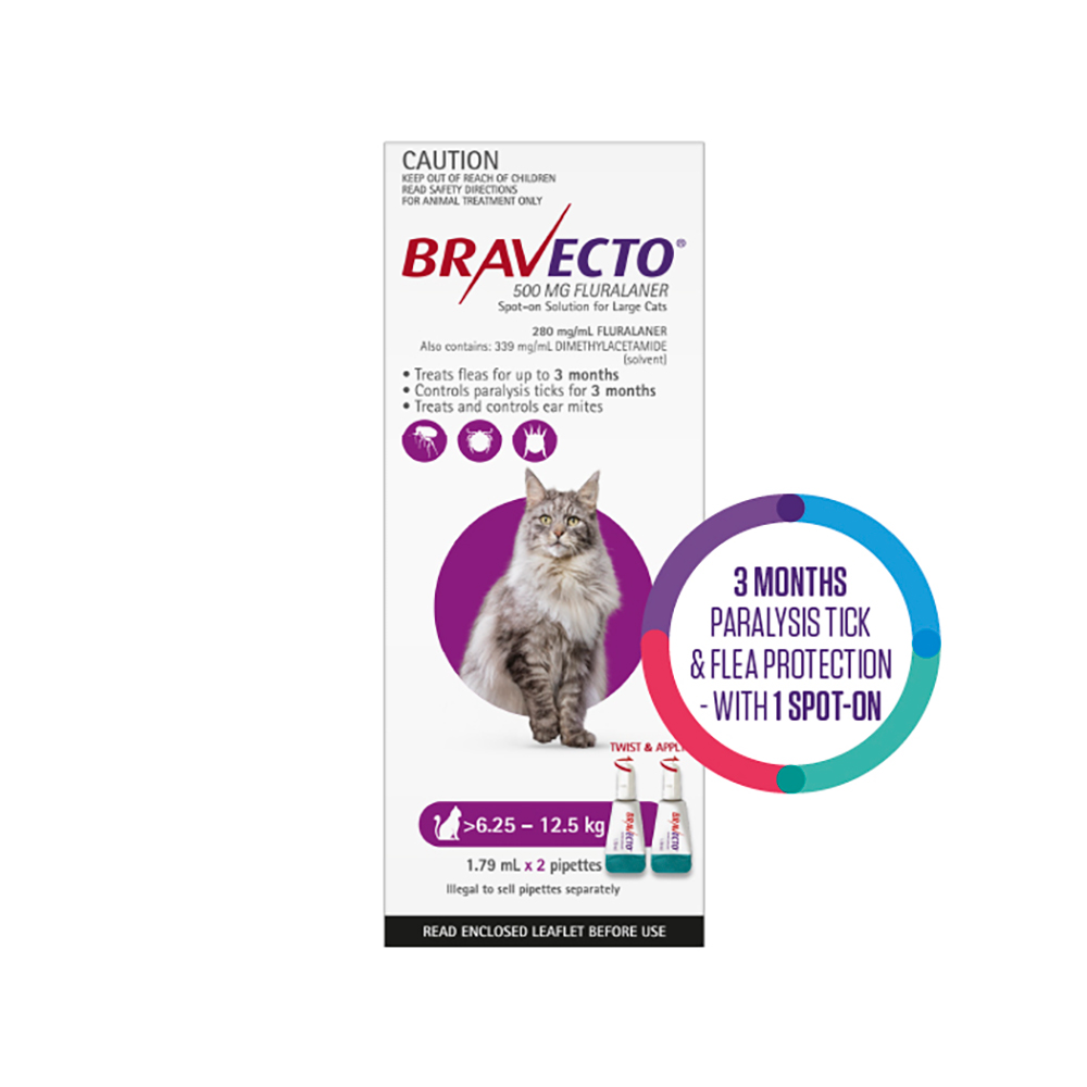 Bravecto Spot On for Large Cats (6.25 kg - 12.5 kg) Purple