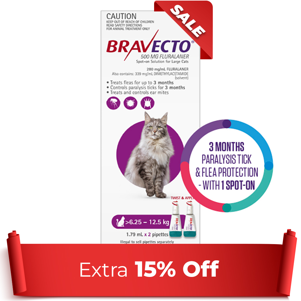 Bravecto Spot On For Large Cats (6.25 Kg - 12.5 Kg) Purple 2 Pipettes