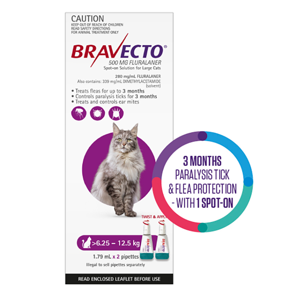 Bravecto Spot On for Large Cats (6.25 kg - 12.5 kg) Purple