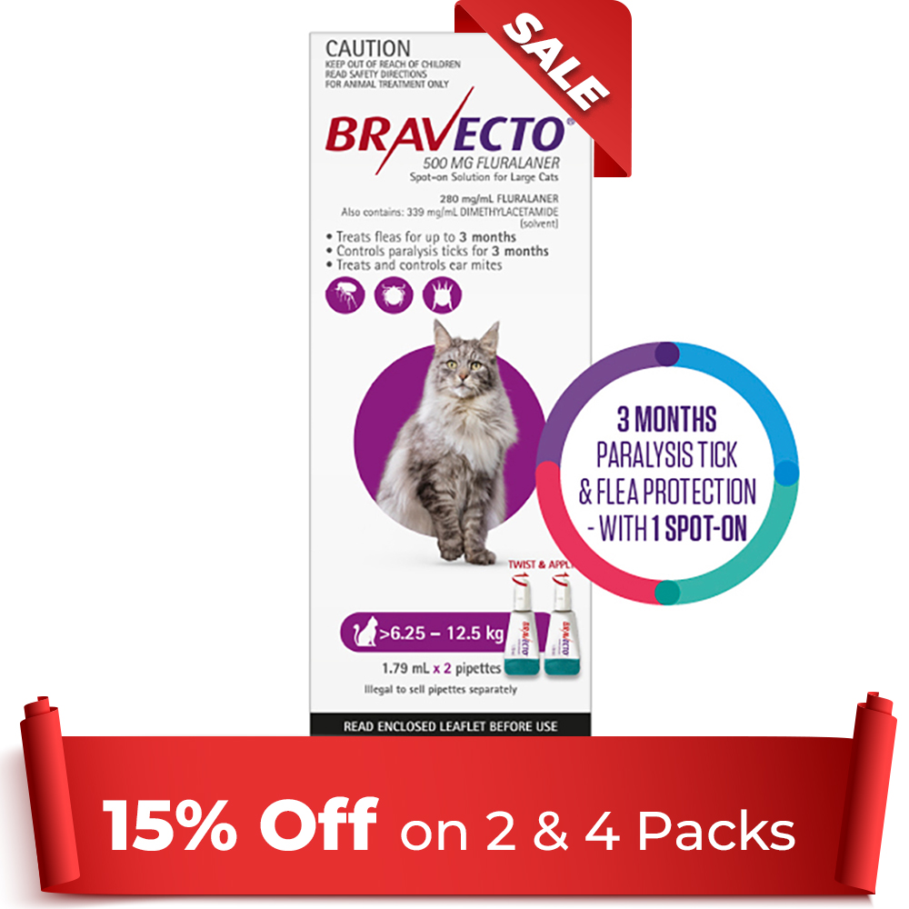 Bravecto Spot On for Large Cats (6.25 kg - 12.5 kg) Purple