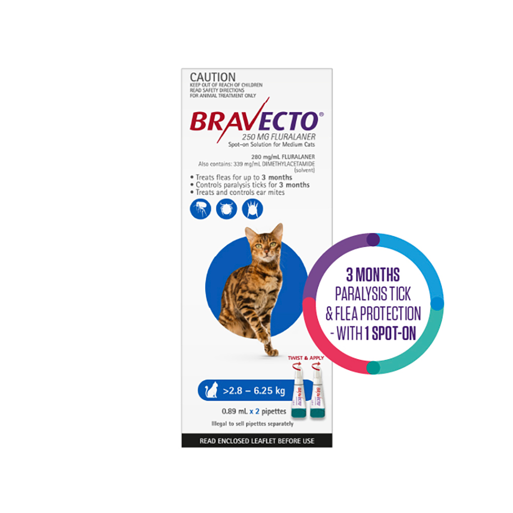 Bravecto Spot On for Medium Cats (2.8 - 6.25 kg) Blue