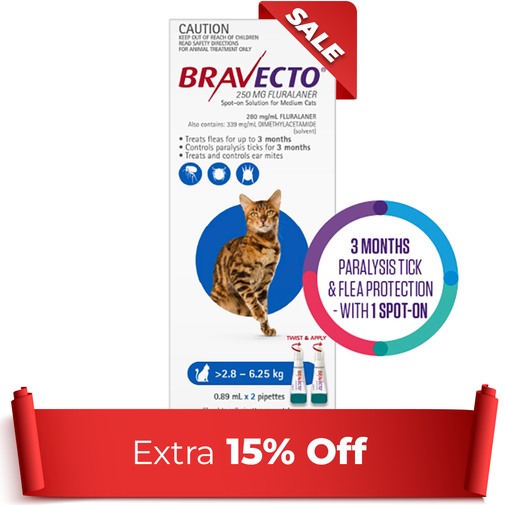 Bravecto Spot On For Medium Cats (2.8 - 6.25 Kg) Blue 2 Pipettes