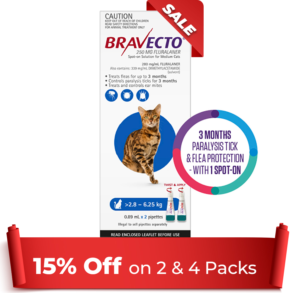 Bravecto Spot On for Medium Cats (2.8 - 6.25 kg) Blue