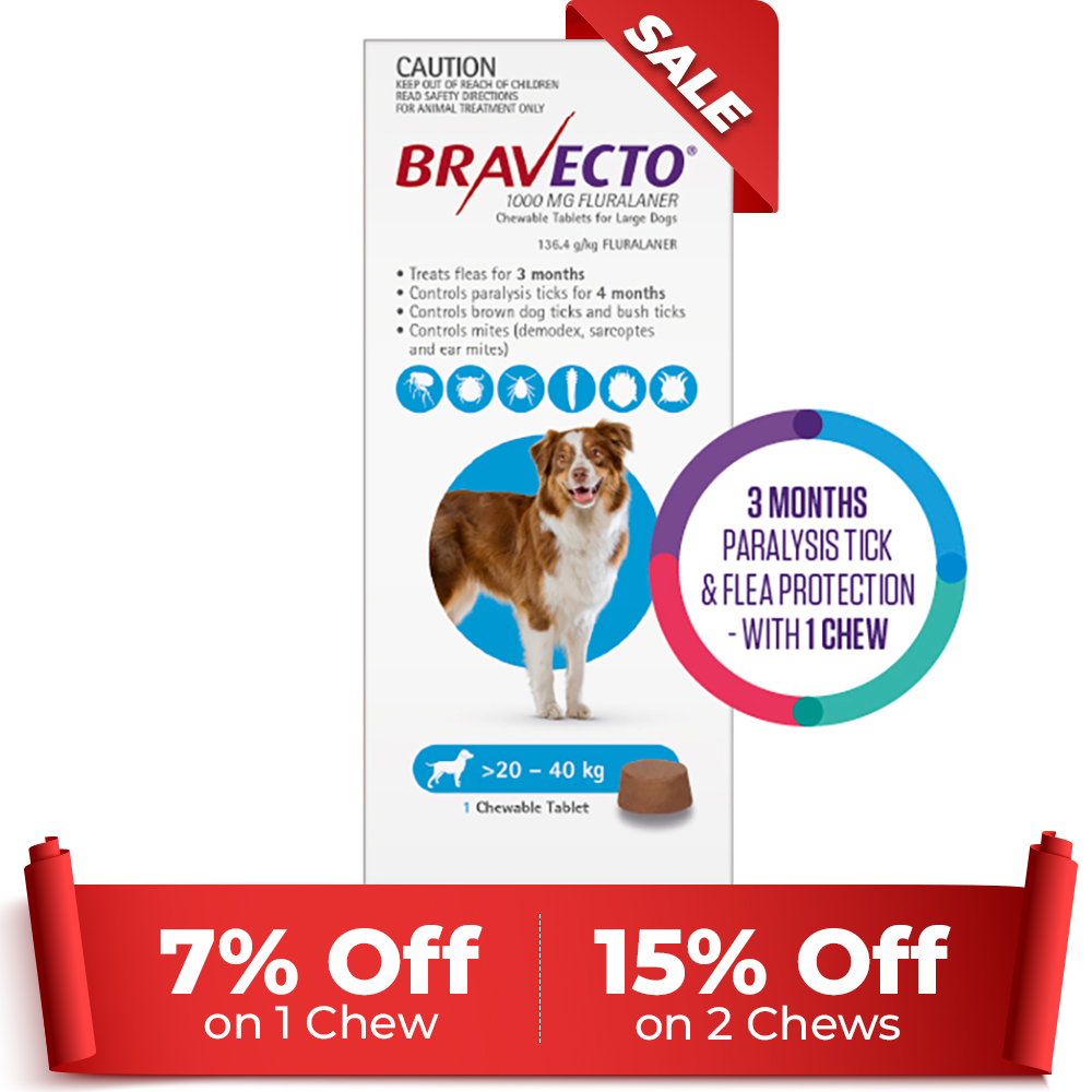 Bravecto For Large Dogs 20-40kg (Blue) 1 Chews