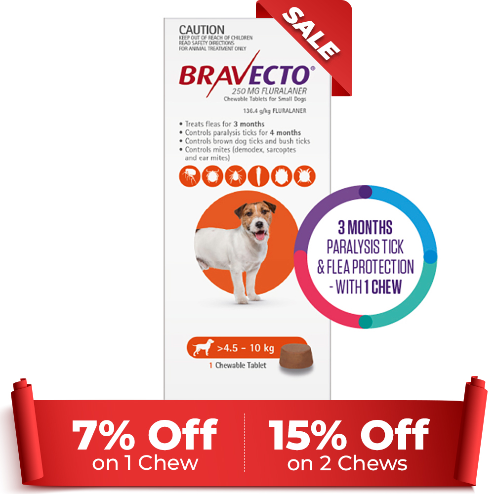Bravecto For Small Dogs 4.5-10kg (Orange) 1 Chews