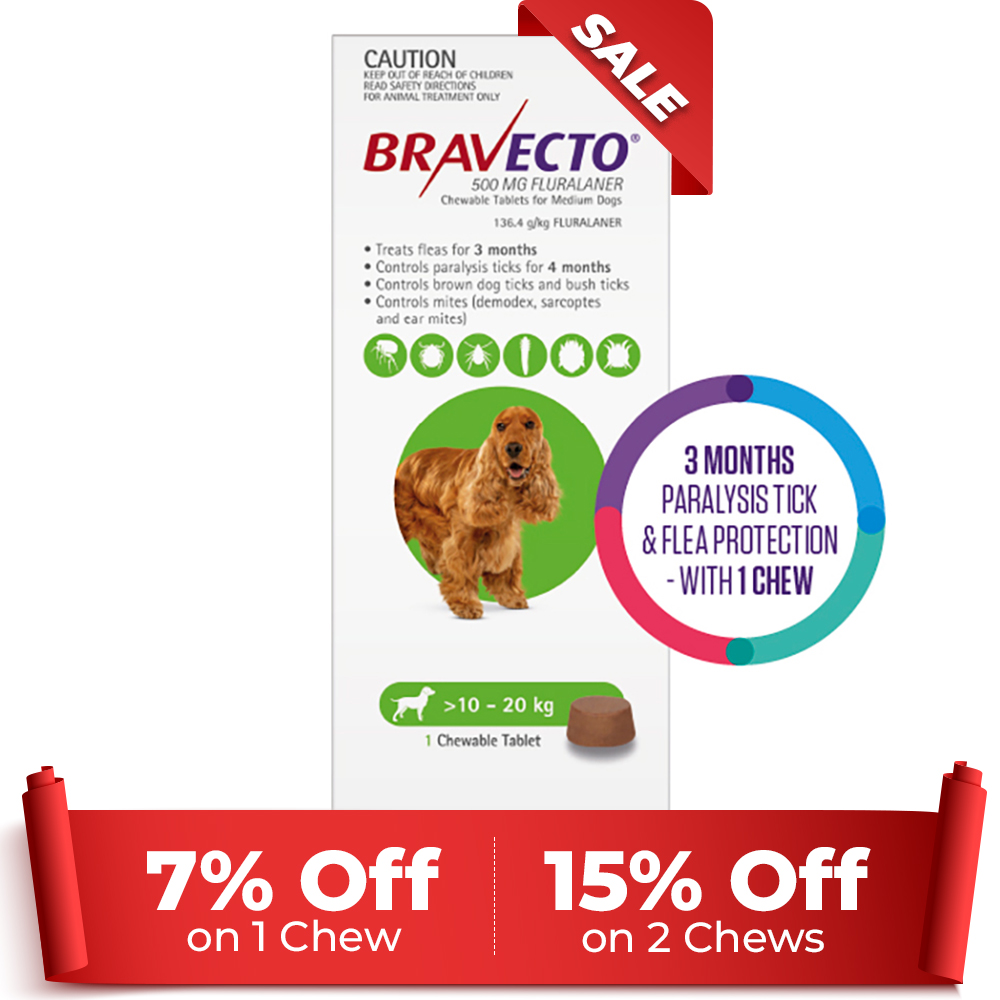 Bravecto For Medium Dogs 10-20kg (Green) 1 Chews