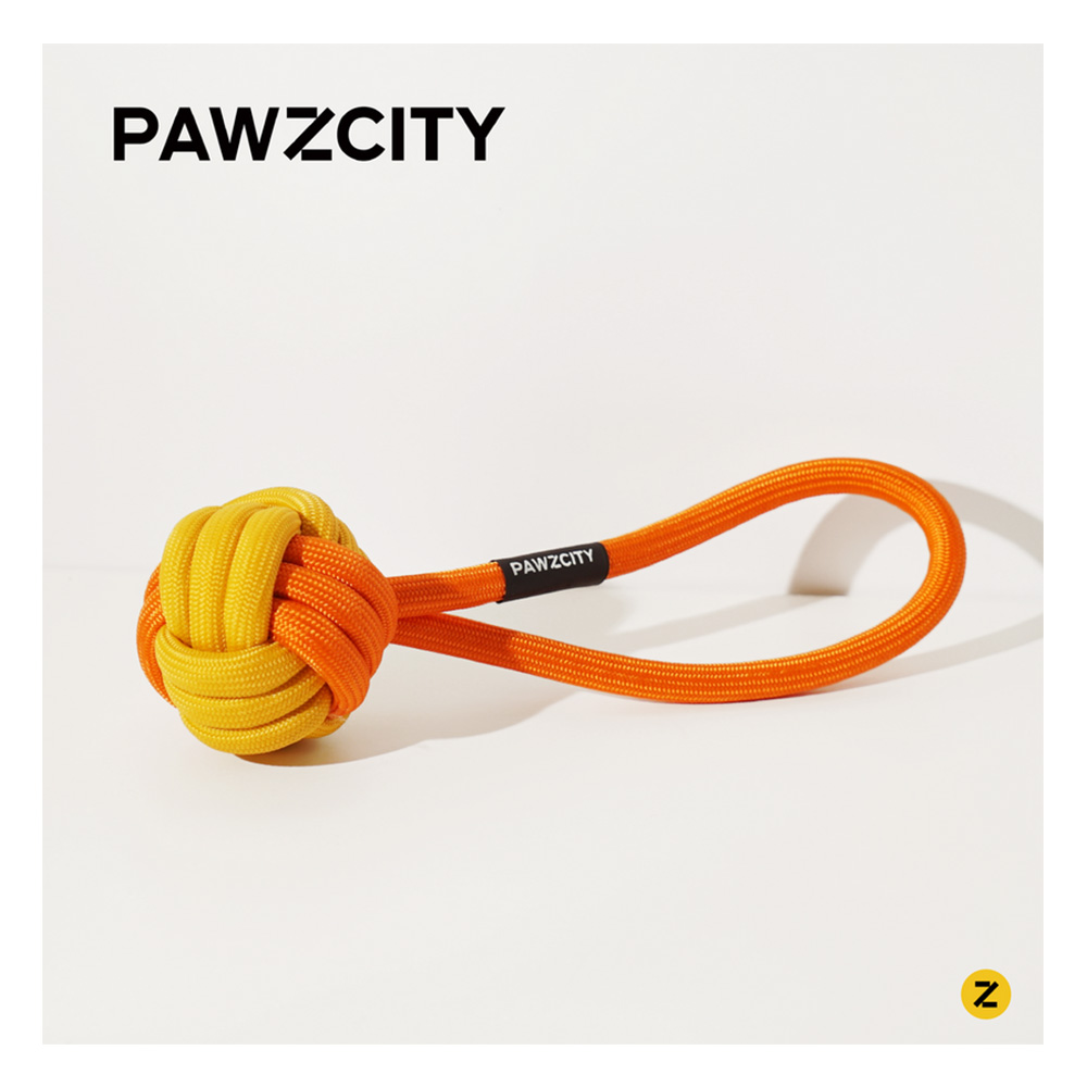 Pawzcity Interactive Rope Ball With Loop Bergamot