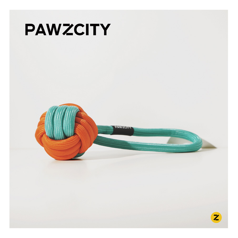 Pawzcity Interactive Rope Ball With Loop Rockmelon for Dogs