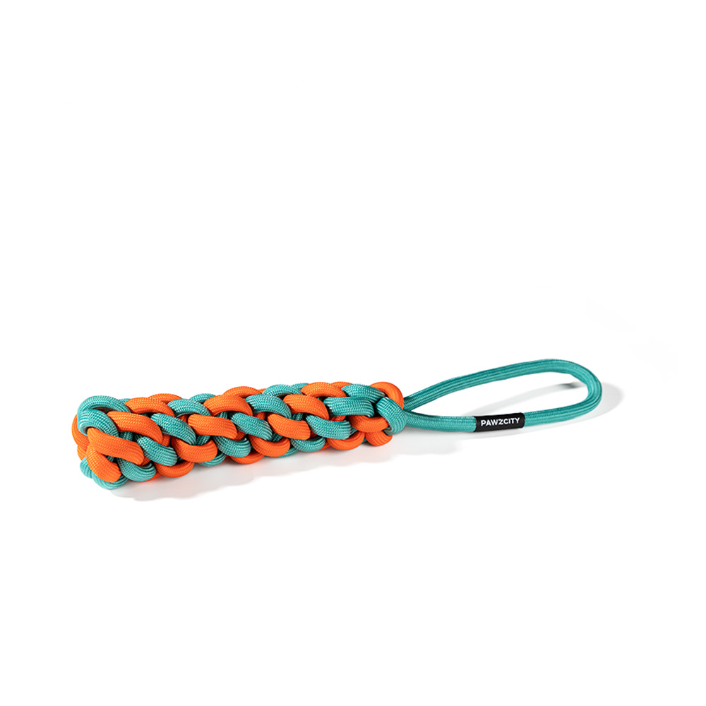 Pawzcity Interactive Rope Stick With Loop Rockmelon for Dogs