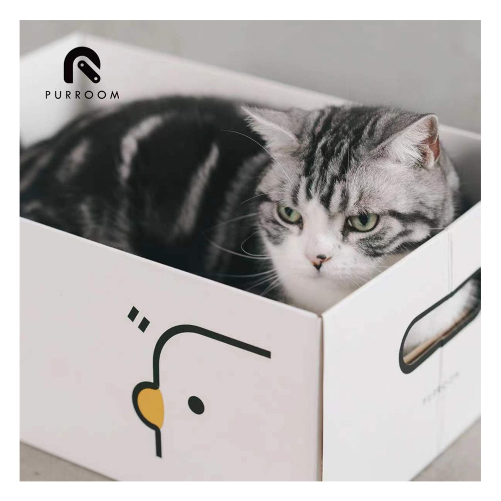 Purroom New Cat Scratching Box Chick
