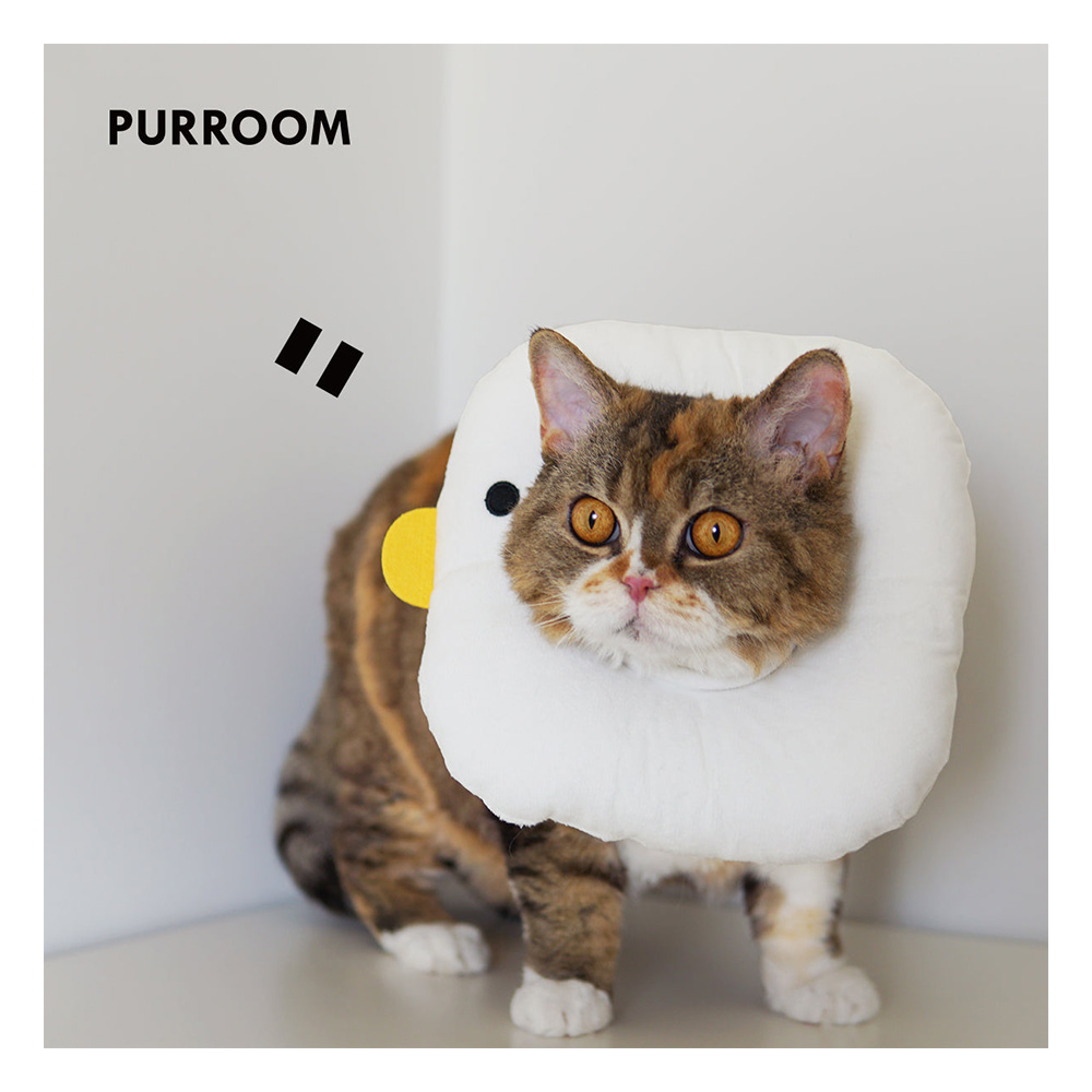 Purroom Pet Recovery Collar Chick Medium