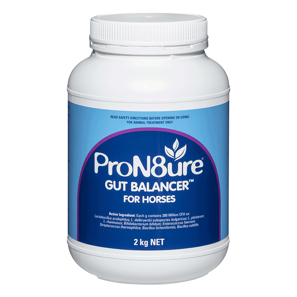 ProN8ure Gut Balancer for Horses for Horse