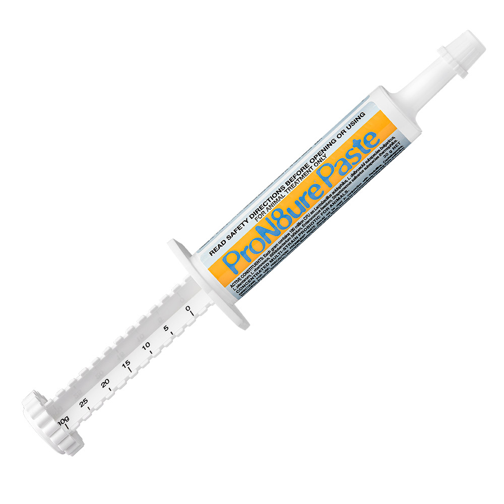 Pron8ure (Protexin) Paste for Dogs