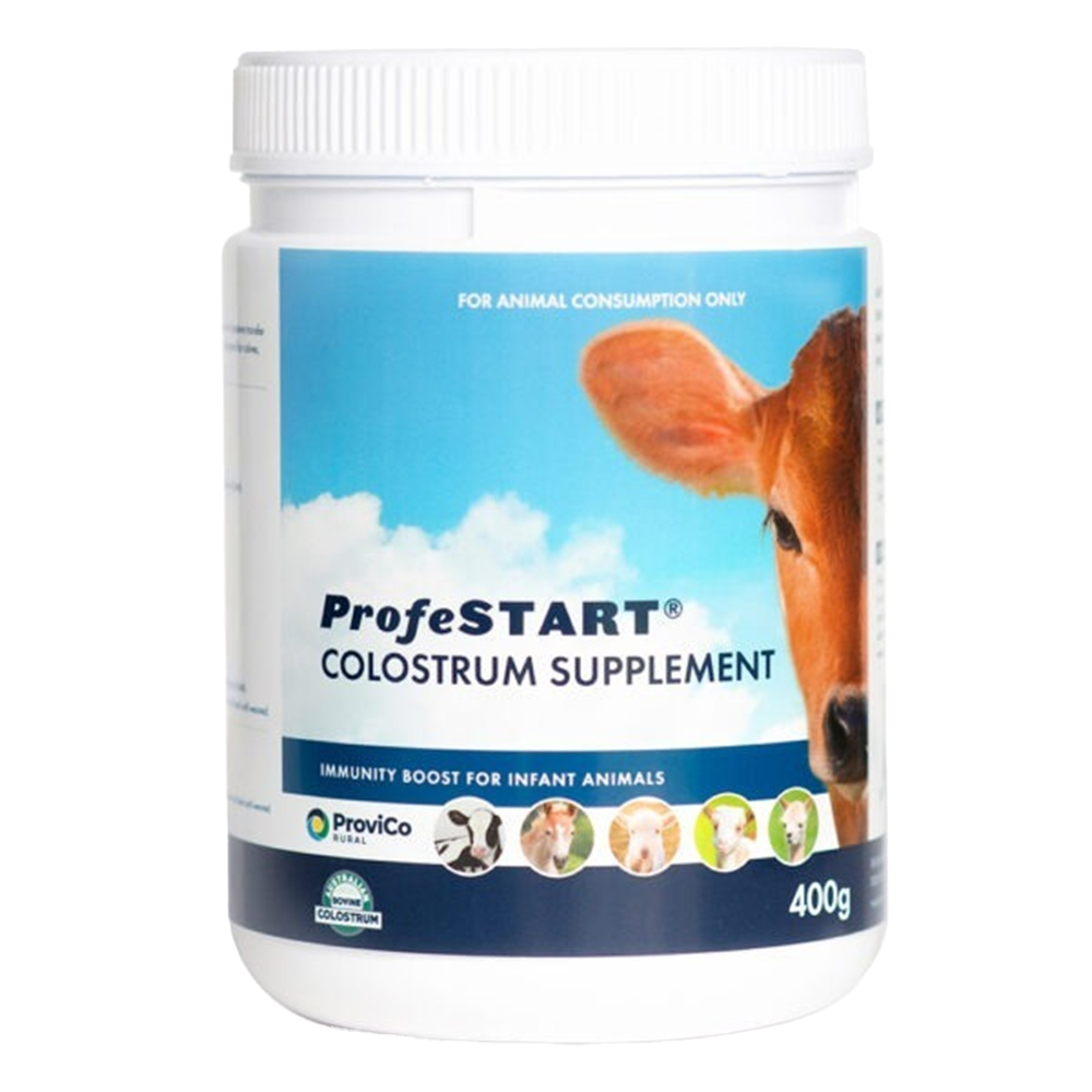 ProfeSTART Colostrum Supplement for Newborn Livestock for Farm Animals