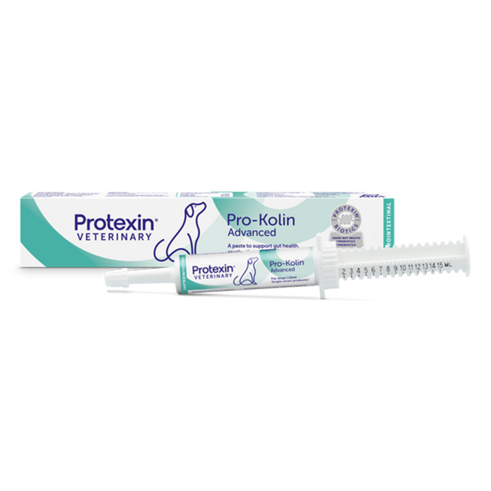 Protexin Veterinary Pro-Kolin Advanced Paste For Dogs for Dogs