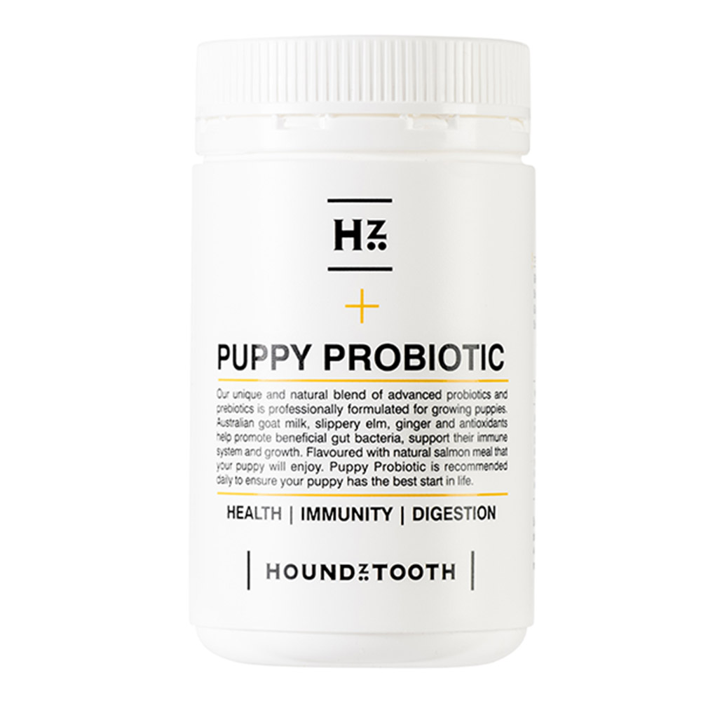 Houndztooth Puppy Probiotic Supplement for Dogs