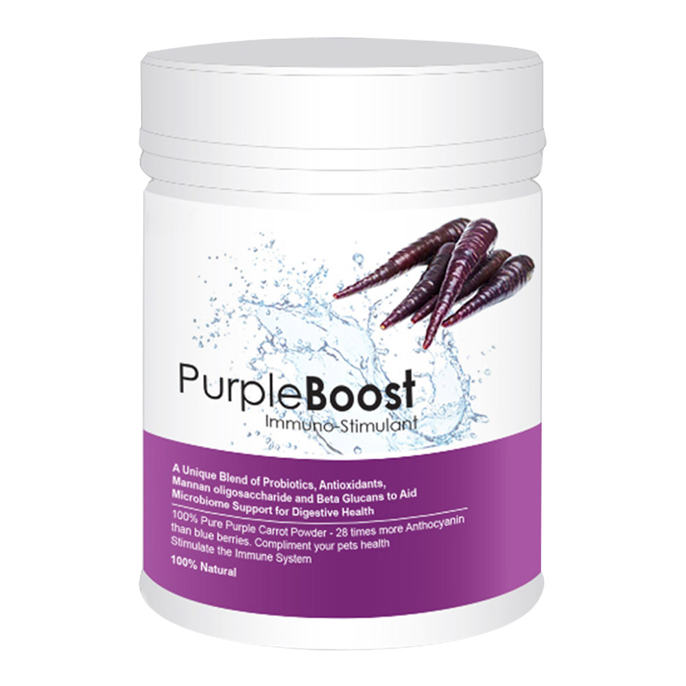 LifeWise Purple Boost Health Supplement For Dogs for Dogs