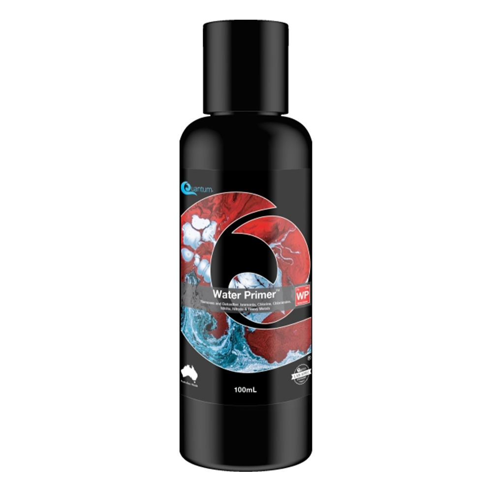 Quantum Water Primer