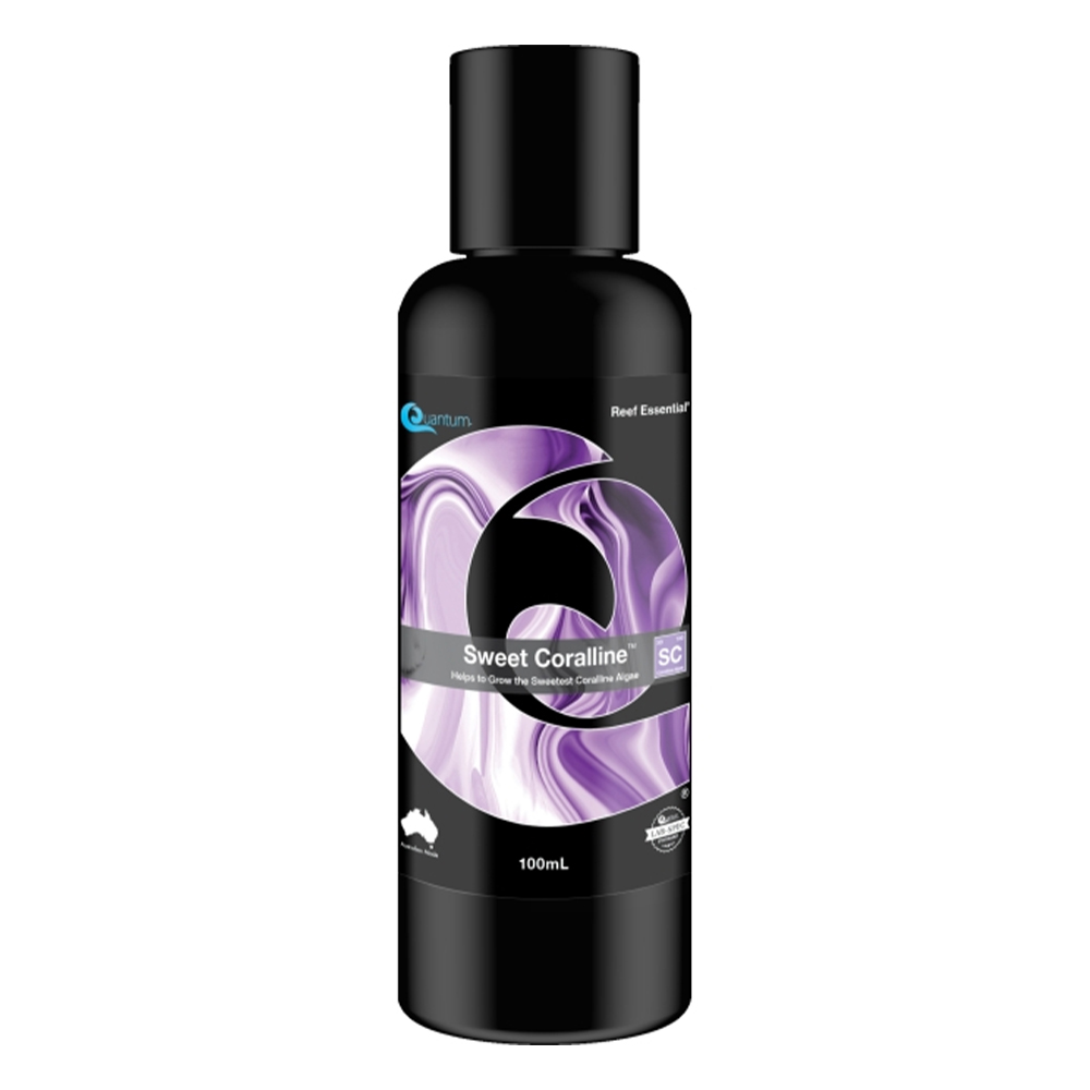 Quantum Sweet Coralline