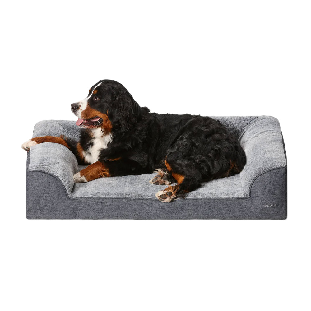 Buy Snooza Ortho Dream Sofa for Dogs Online at