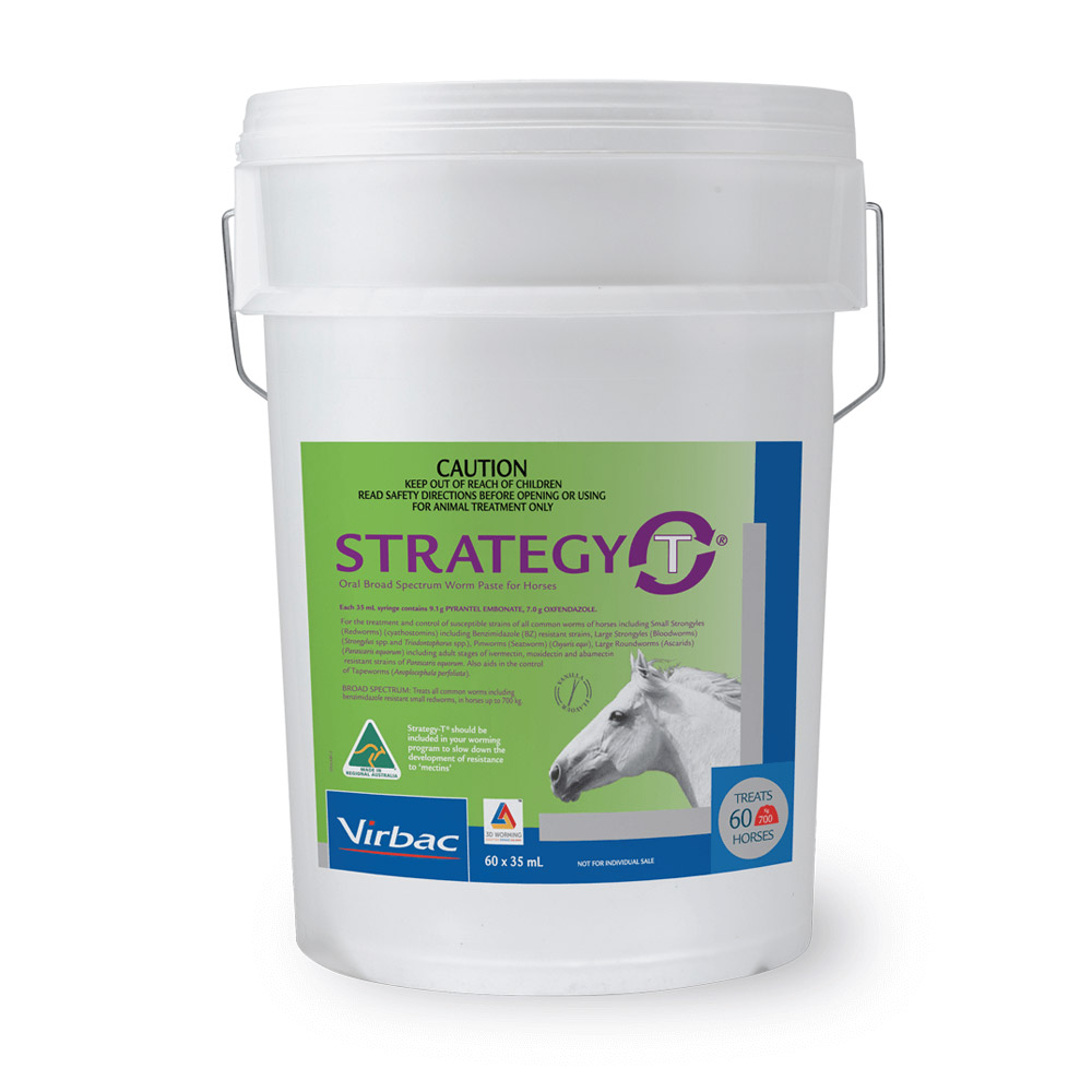 STRATEGY-T Paste