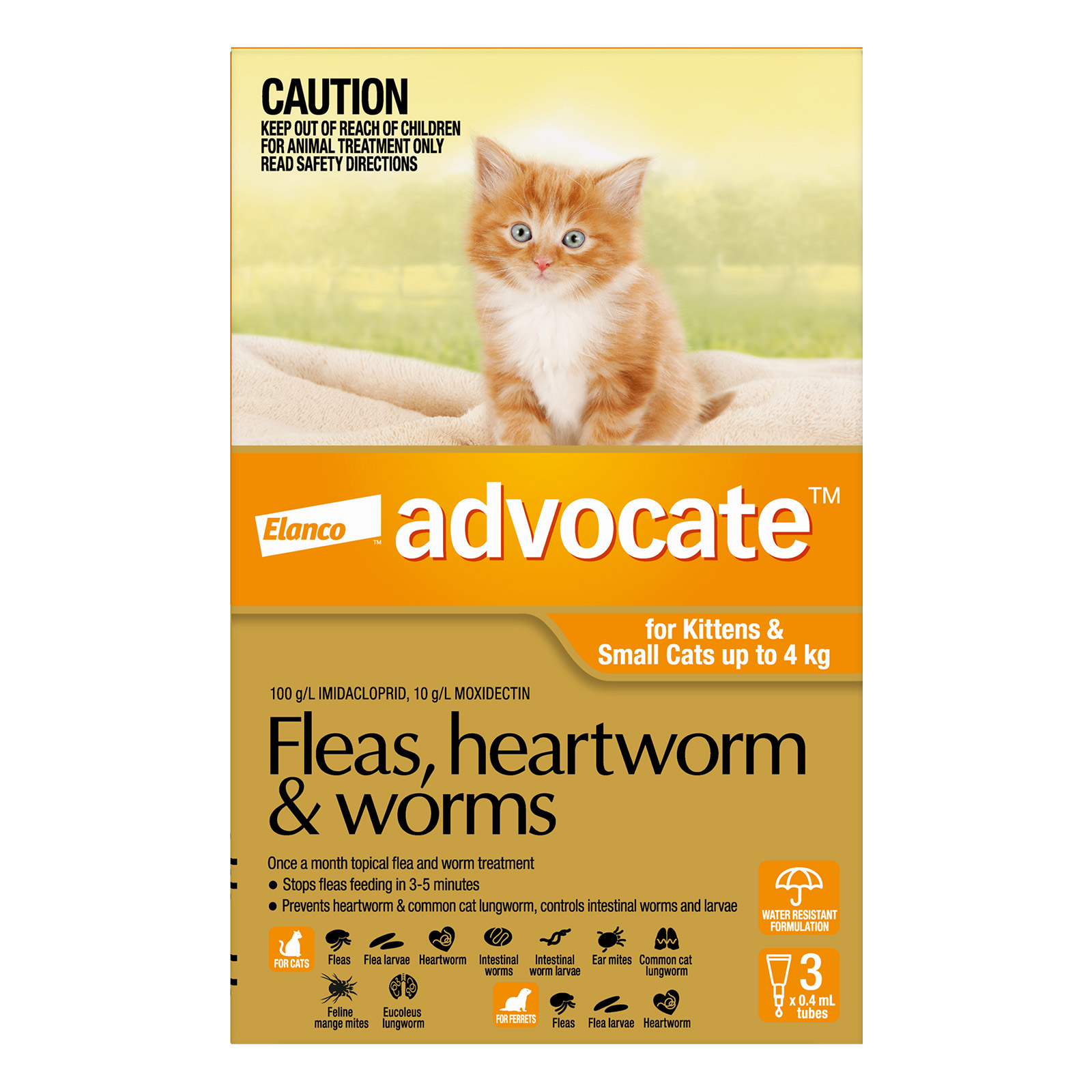 Advocate for Cats