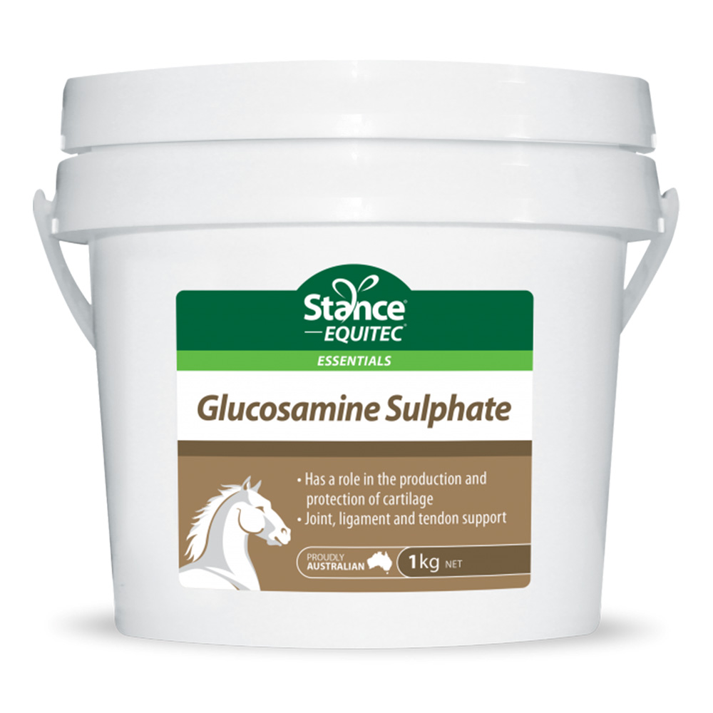 Stance Equitec Glucosamine Sulphate Joint Ligament Tendon Support for Horses for Horse