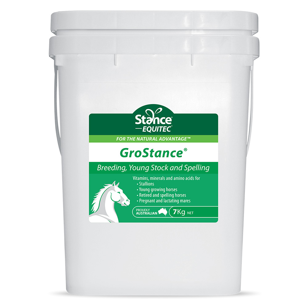 Stance Equitec Grostance for Horses for Horse
